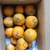 規格外　デコみかん  (傷あり、箱込4キロ) no4