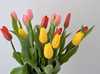 3月15日発送限定!　数量限定で500円OFF!!　チューリップ（20～30本）