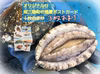 【6周年福袋】養殖アワビ7cm~8cm　私が描いたポストカードを3枚おまけ
