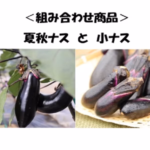 ＜組み合わせ商品第1弾＞　夏秋ナスと小ナスのセット☆