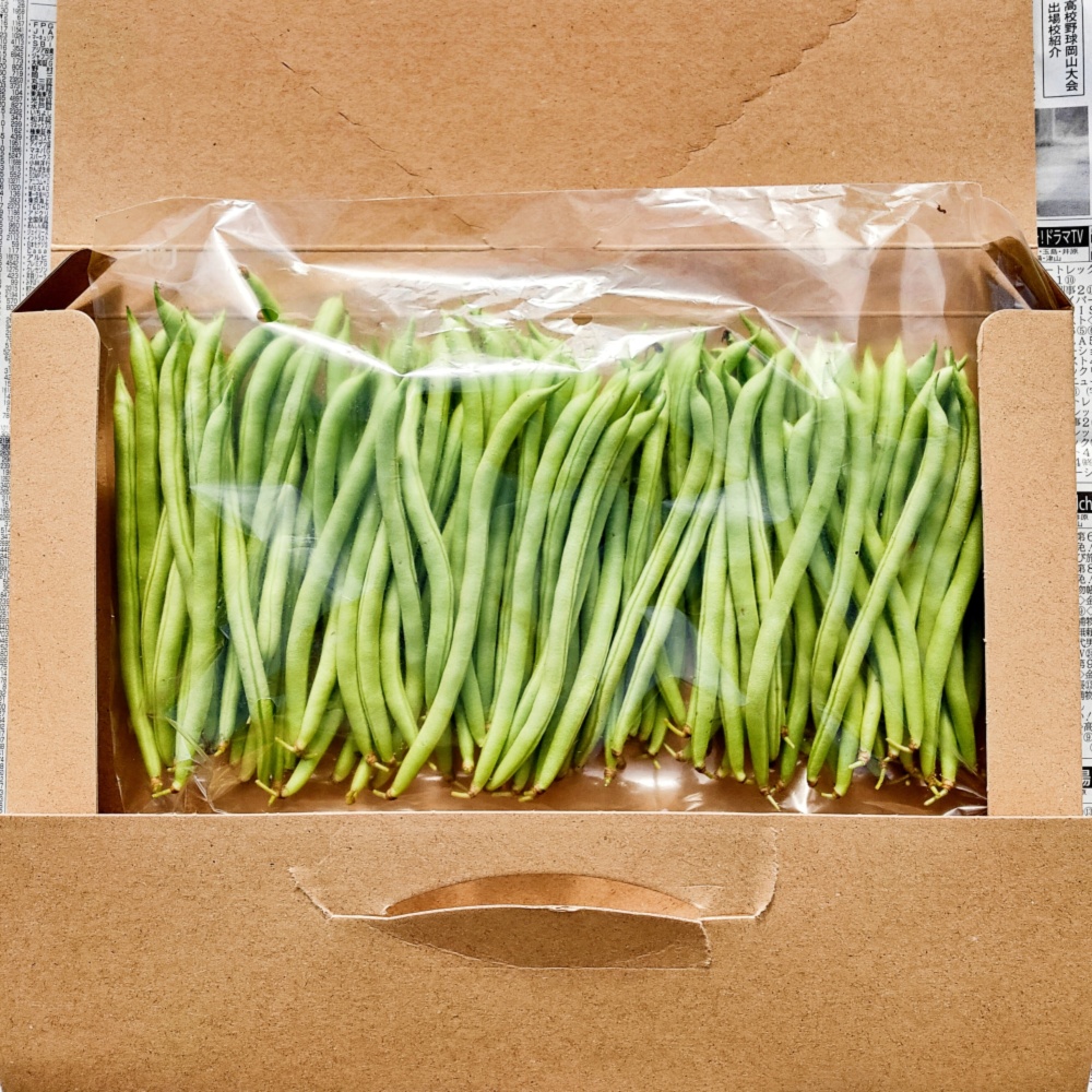 長ササゲ10Kg クール便 野菜 | endageism.com