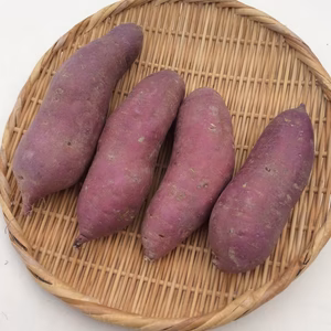 サツマイモ 紅はるか 中サイズ   農薬・化学肥料”不使用“