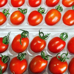 [期間限定新商品まるたか農園フルーツトマト