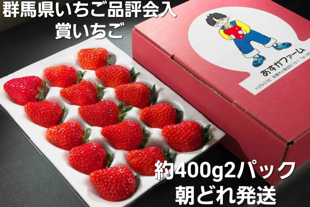 【1月予約お年賀】とにかく甘いジューシー全国で10件のみ栽培 400g 2パック