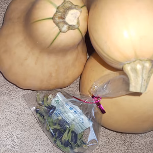 バタフライピー&バターナッツセット