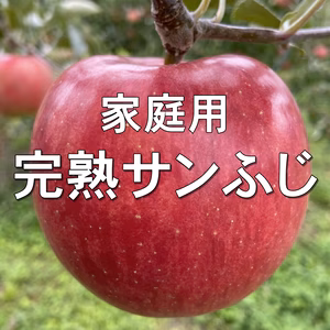 数量限定！【家庭用】完熟サンふじ 約2kg～  信州りんご 