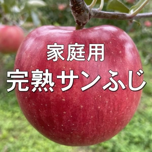数量限定！【家庭用】完熟サンふじ 約2kg～  信州りんご 