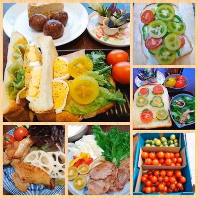 みんなの投稿の画像