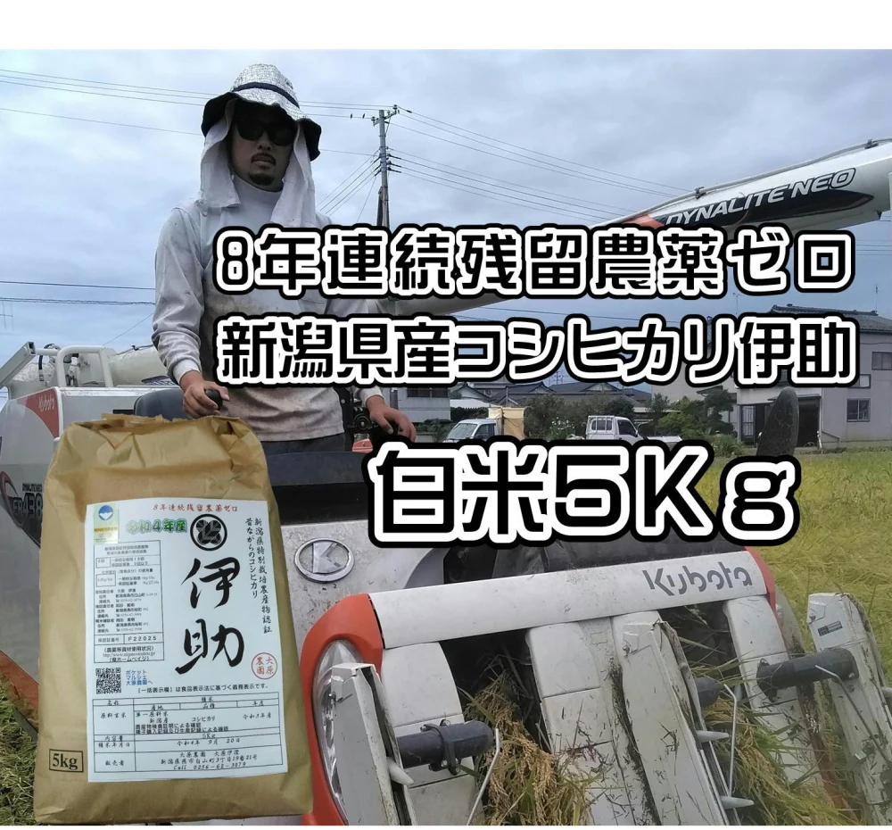 新米令和４年新潟産  コシヒカリ 伊助  8年連続残留農薬ゼロ　白米 5Kg