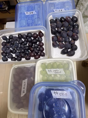 みんなの投稿の画像