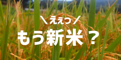 8月に収穫する「早期米」とは？鹿児島県の自然栽培農家さんに教えてもらいました。