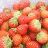 【帰ってきたワイワイガヤガヤ！小粒以上イチゴパーティー！】