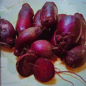濃赤紫のビーツ   農薬も肥料も使わない自然栽培