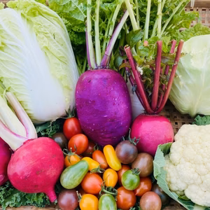 【お試しＳ】たてやまかおり菜園『秋冬カラフル野菜セット6〜7品目』