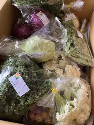 みんなの投稿の画像