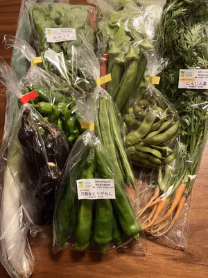 みんなの投稿の画像