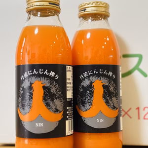 定期便！丹波人参ジュース【350ml×12本】