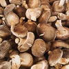 【500g】そのまま焼くだけで美味しい！肉厚！原木しいたけちゃん！