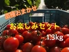 【川上農園】品種おまかせ　ミニトマト 1.3kg 茨城県産 甘み重視