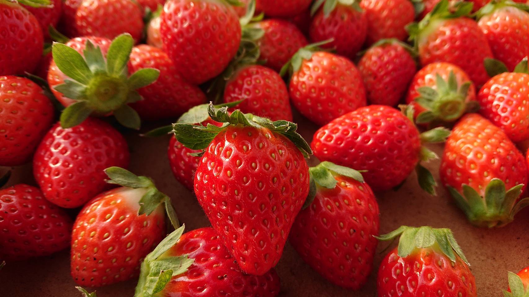 香月さんちのいちご畑の佐賀県産 さがほのか 280g 4 農家漁師から産地直送の通販 ポケットマルシェ