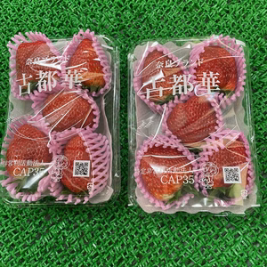 お得‼️値下げ中　奈良県産いちご「古都華」大粒