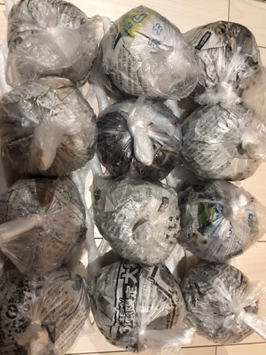 みんなの投稿の画像