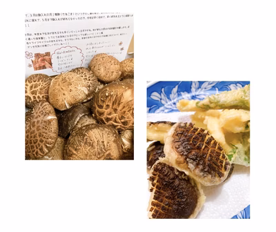 みんなの投稿の画像