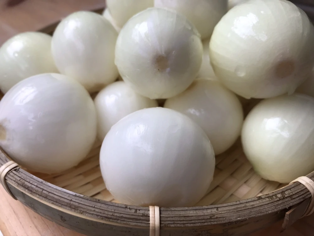 R5年産　有機玉ねぎ(サイズミックス)