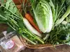 【冬ギフト】鍋野菜＆ゆずポン醤油セット【本当に大切な方へ】メッセージOK