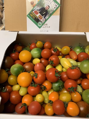 みんなの投稿の画像