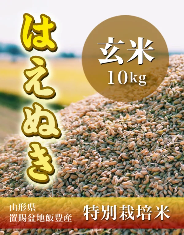 【H29新米】【玄米】はえぬき10kg 山形県飯豊町産 特別栽培米