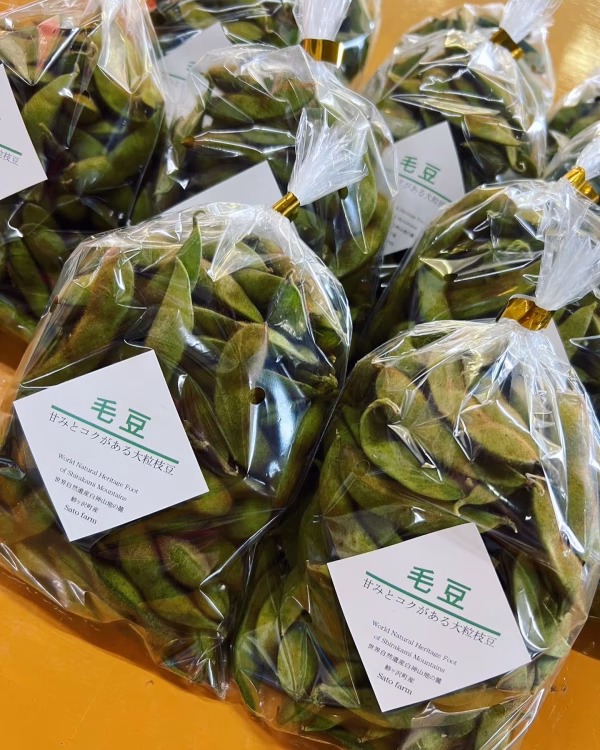 送料無料☆ 青森　枝豆　毛豆　600g