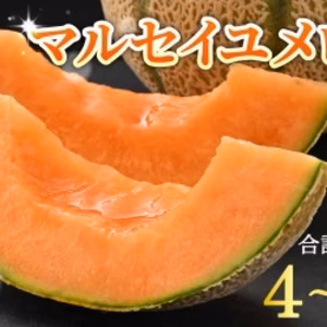 甘いマルセイユメロン5kg前後(4個〜6個)