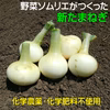 新たまねぎ