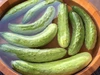 会津伝統野菜　余蒔(よまき)きゅうり（農薬化学肥料「不使用」栽培）