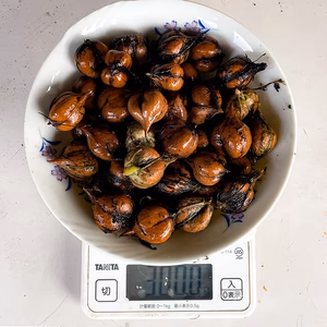 自然栽培 国産くるみ 山グルミ オニグルミ 300g