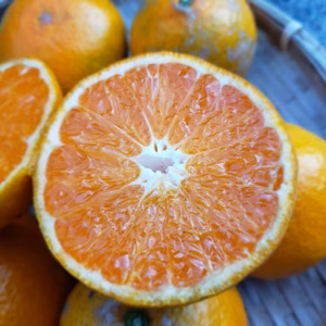 約10㌔　アラシのみかん　中味はジューシー　ワックス不使用