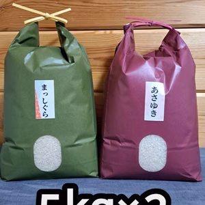 送料無料‼️食べ比べセット令和5年青森県産まっしぐら&あさゆき各5kgギフト対応