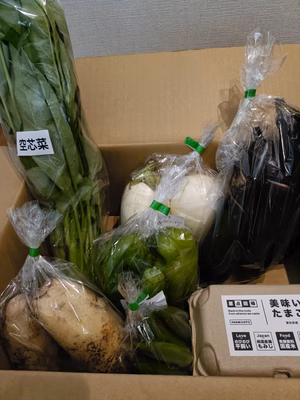 みんなの投稿の画像