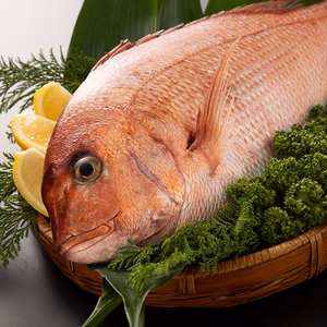 【春の旬食材】脂乗り抜群の桜鯛♪皮まで美味しい！余すところなく味わって！！