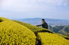 プチギフト！お茶3種類！煎茶の和・ほうじ茶・和紅茶のティーバッグのギフトセット