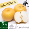 長野県産 豊水 訳あり 小玉 5kg 梨 フルーツ 9月中旬頃出荷開始予定