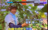 江戸東京野菜　内藤かぼちゃ　2ｋｇ（4～5個）