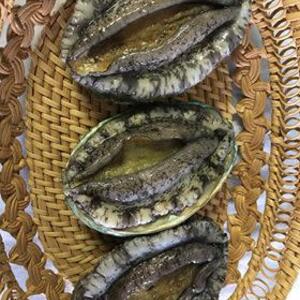 白神活アワビ(国産）　80~90g 3個入り