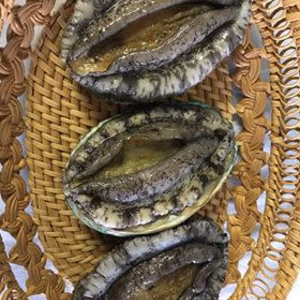 白神活アワビ(国産）　80~90g  3個入り