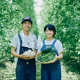 中村友隆 | イブキ農園