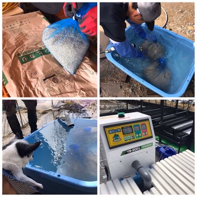 みんなの投稿の画像