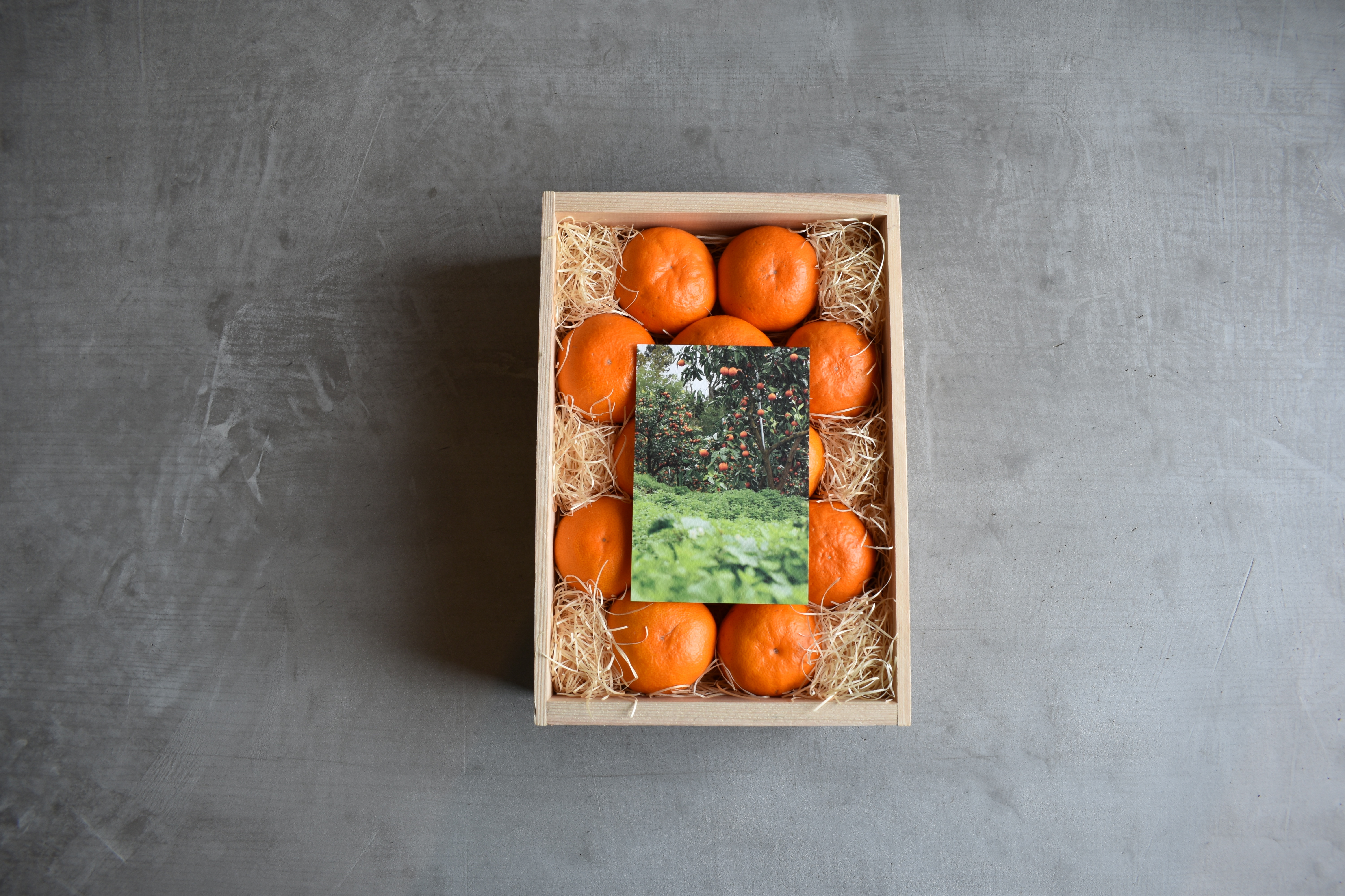 2026年12月第1週予約便】木箱入り樹上熟成 灯みかん【贈答用】｜みかん