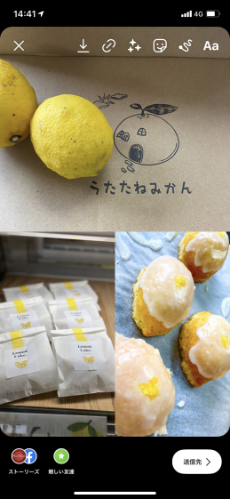 超濃厚な甘味 酸味が詰まった極上みかん ゆら早生 農家漁師から産地直送の通販 ポケットマルシェ