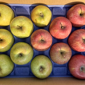 家庭用2種SET!! サンふじと王林 ３ｷﾛ箱 9〜13玉